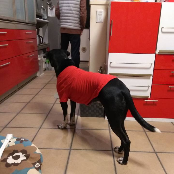 7f34503f b8d6 43c7 bd05 290c50a6754f 1610794110700