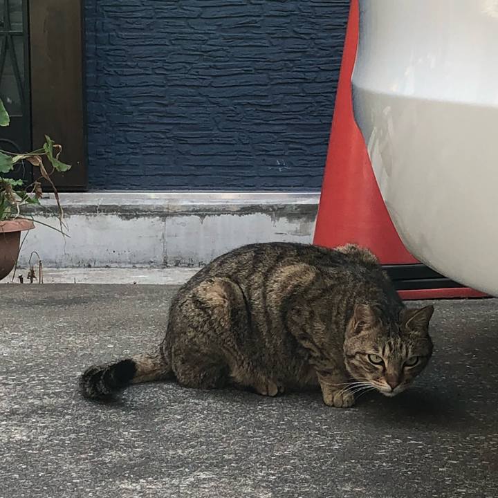 7f348022 887d 4251 9155 098fe2bf9522 1522318271524