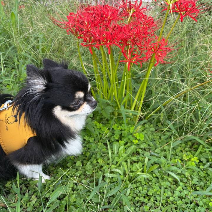 7f348598 5f39 4358 8fb8 05e510c9cb67 1759193560282