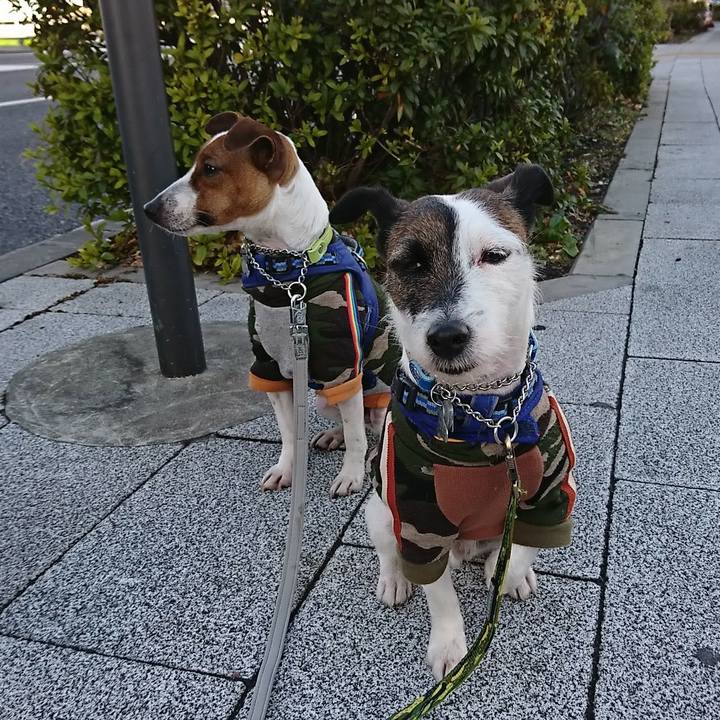 7f34ab9b 0c64 484e bd9d c4e05406a579 1549150500693