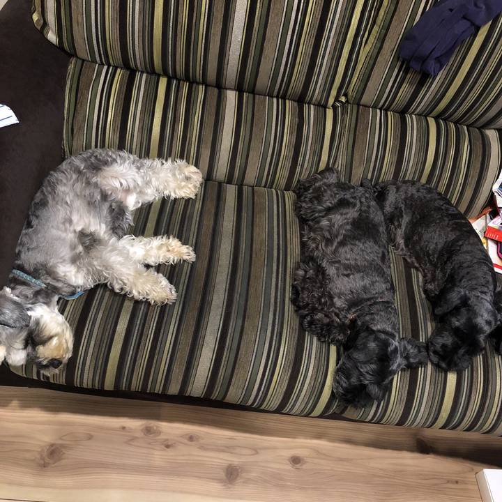 7f34bd63 a8a6 4c2f b2a9 a3a87b854bc8 1532268245749