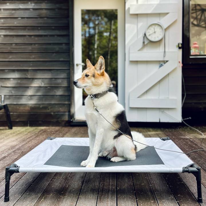 7f34eb60 f444 4dff b9e1 ddca833c334e 1759747008540