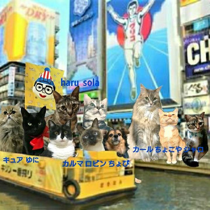 7f35196c 156d 46b8 9768 d70ff8d640e2 1544236868470