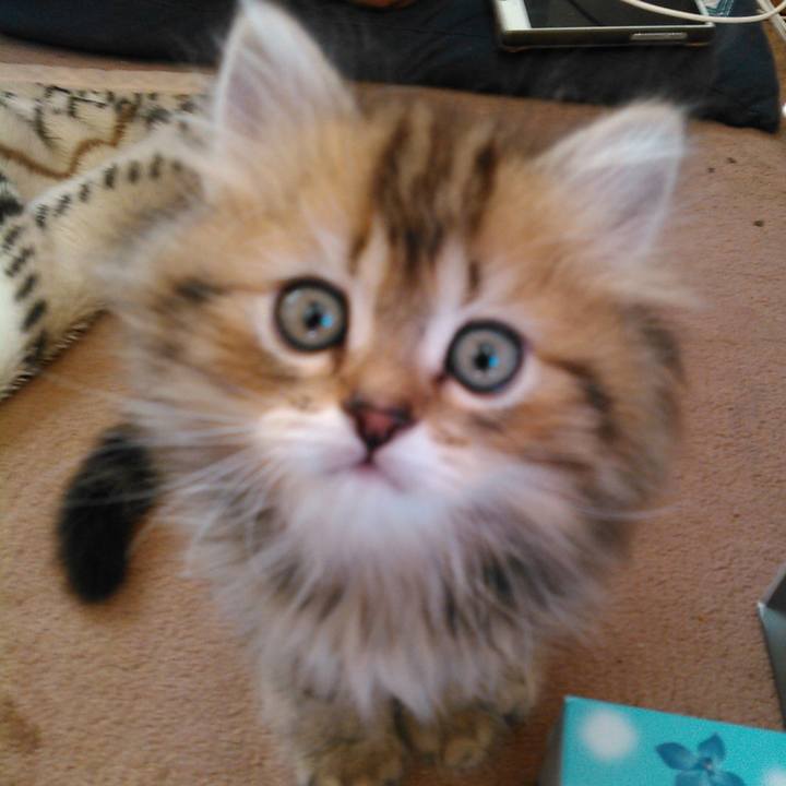 7f352301 548a 4716 90d0 499cf52174f9 1620362131599