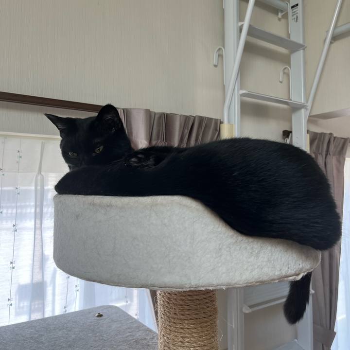 7f353dfc 59e4 49c8 be95 669faaf54b68 1688445184814