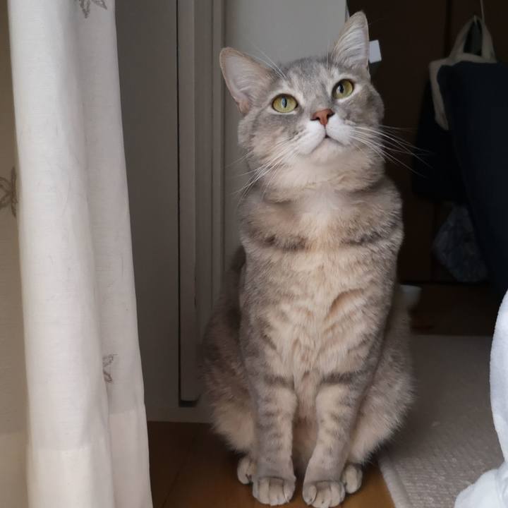 7f354370 e17a 400c ad7a d638f4228db6 1577002113116