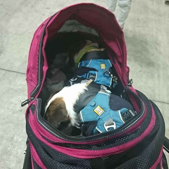 7f35644a a42f 44e3 8200 4b6ce131357e 1578739759488