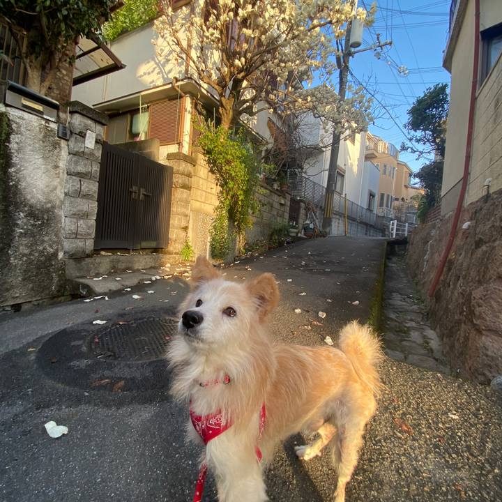 7f3564e2 1002 44dd 9a78 8e87894f099a 1647826001062