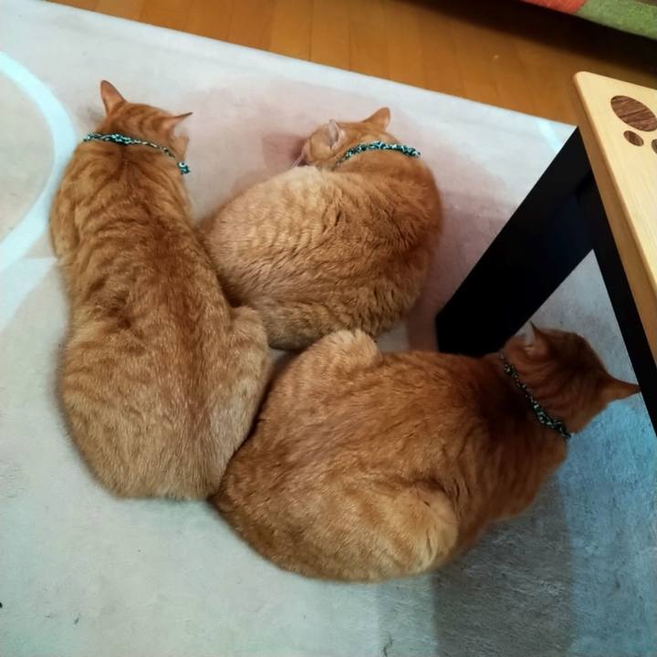 7f357fd0 3cca 4de7 997e b5931da54eaf 1606275491518