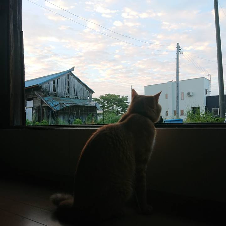 7f35af06 f15a 4dd3 ae64 9b30d457f0ac 1662670891822