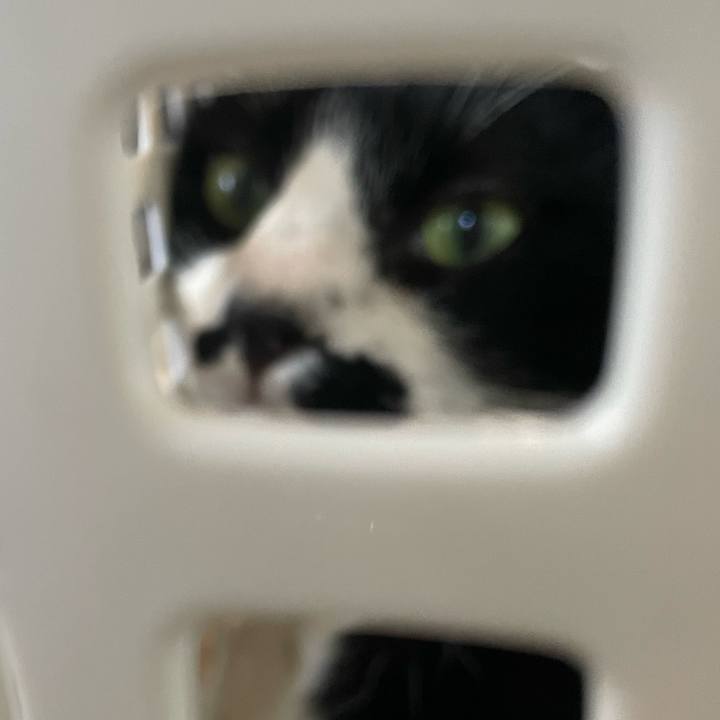 7f35c2b5 a23f 481f a5b8 853e16eff7d5 1723097737630