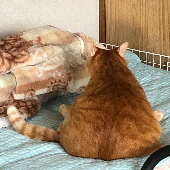 7f35d335 02aa 4f4c b5ad 705df89505e5 1687509214746