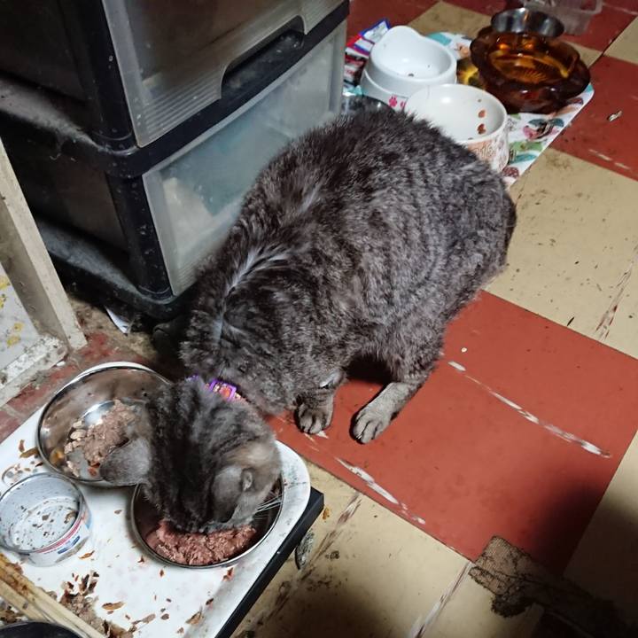 7f35fb83 e06d 49ab 95cc 7272cddfca04 1595619662130