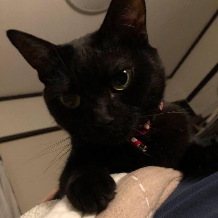 7f369255 09d7 4e59 92dd 1f787f5a3f31 1611061772170