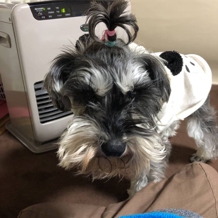 7f3697eb bce9 49fd bd50 7df755589516 1552856828434