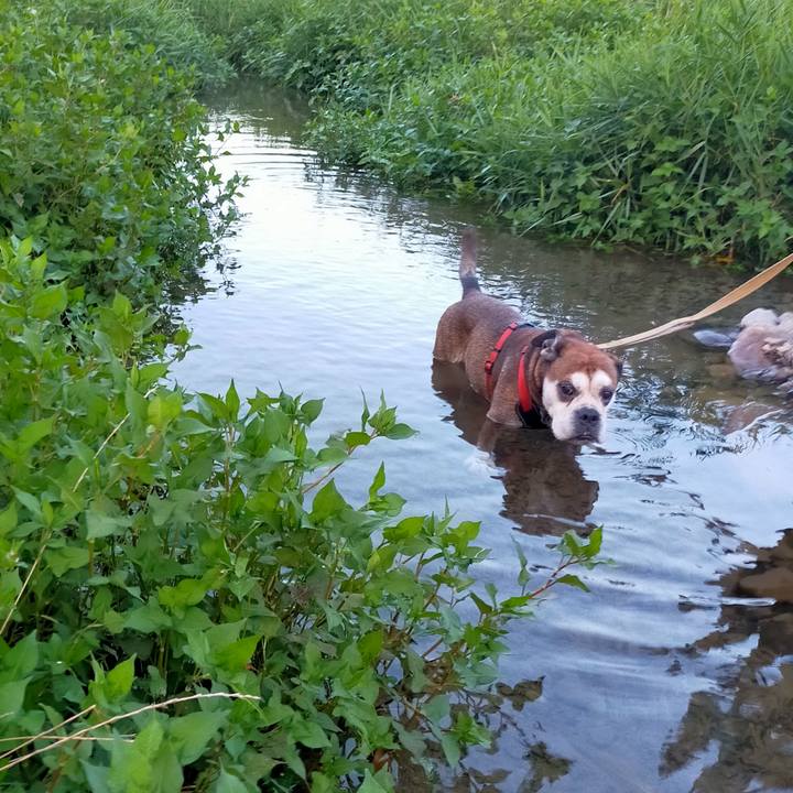 7f36a016 2443 4dde 895b af5fec0fdf7c 1691067020543