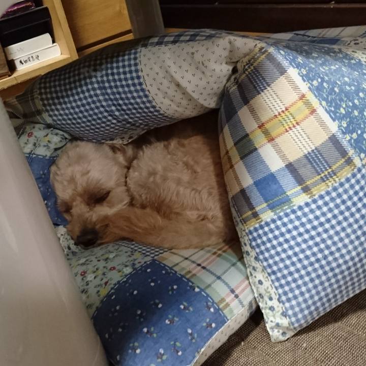 7f36df25 99b2 4a18 b4ce 90501242b366 1565446265080