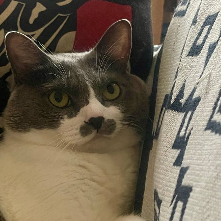 7f36ff36 dac8 4140 acb2 78c79e119b9e 1729496958314