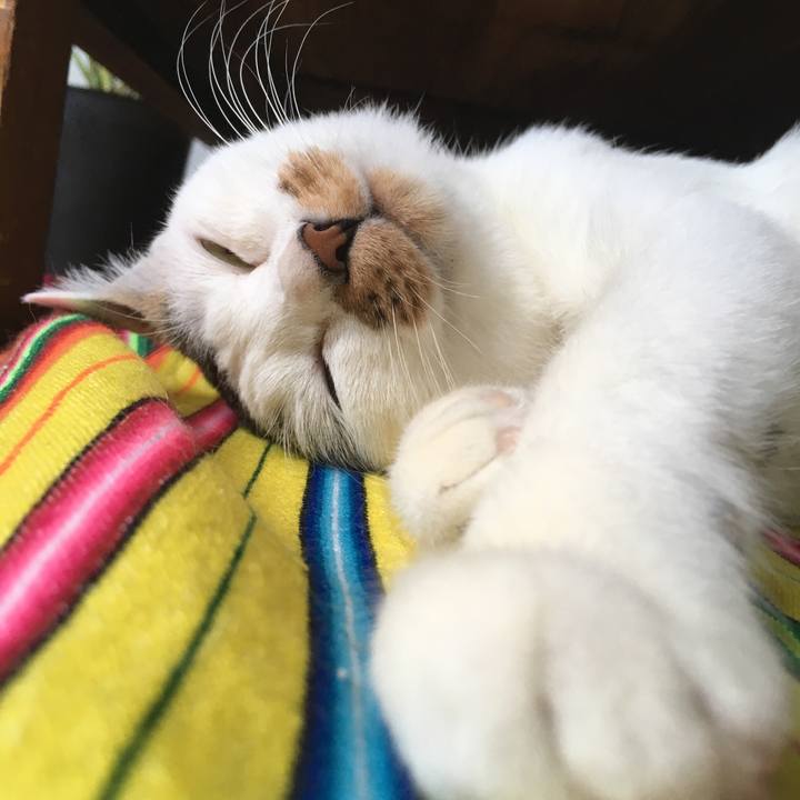 7f370369 c188 4b91 ad66 1000912a4b0f 1514017515766