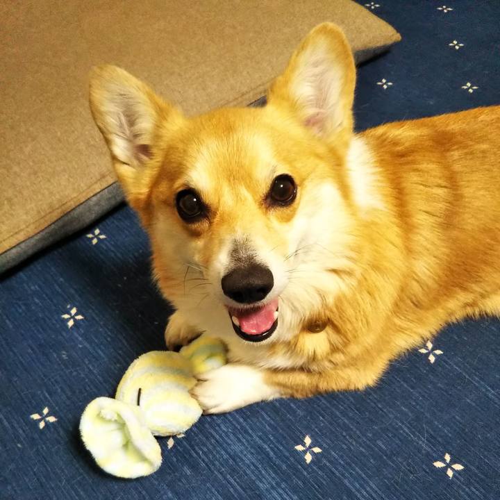 7f370482 fa4e 4f22 80b7 d5ac3f3958dc 1586257012570