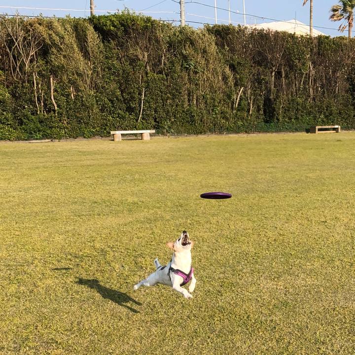 7f371d9c 0323 48cb 95c9 0d39cc55ce2b 1555935265182