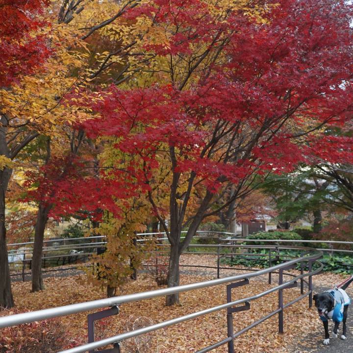 7f372d2c 7cf6 4297 8f3b 1f473b8754fd 1764638342403