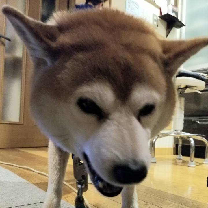 7f375e15 942c 418c a9f4 e1b75918d98a 1609316634386