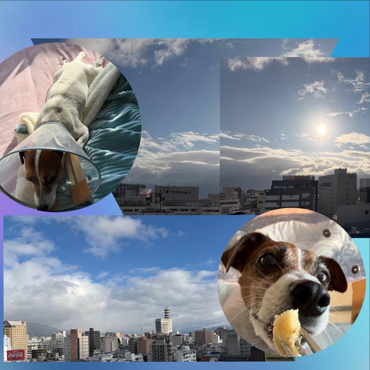 7f376b61 7647 4c4a 9d56 1ef3291bcd16 1766398301776