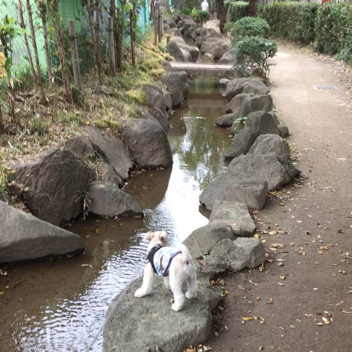 7f378734 ae02 4396 aaba c941a3a94a27 1538978151776