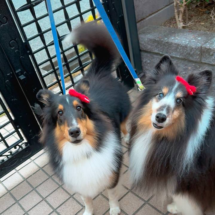 7f37b1a5 252c 40dd 951d 92b1efbf3b4a 1764691996694