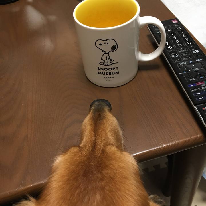 7f37bc3d 037a 4db9 8ac7 b0eb4c20404b 1580558468686