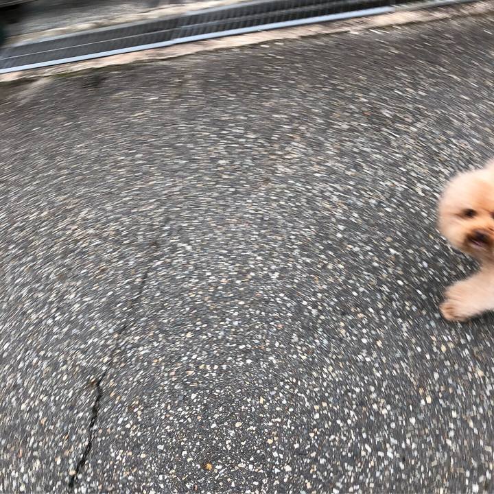 7f37c00c e498 477e a31b e872a5cfdbb8 1528622232796