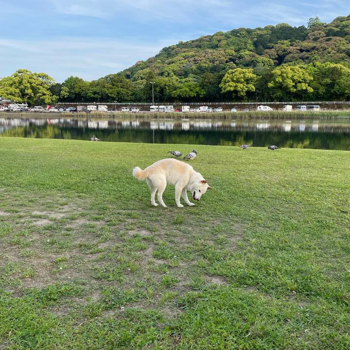 7f37c040 8ee6 4296 9fcd b1d84509d950 1651680919835