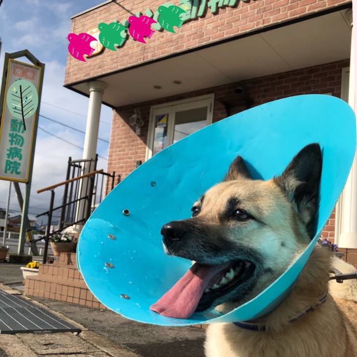 7f37c160 9db3 4fd8 a0ac 2cc1caf8ff83 1618313447370