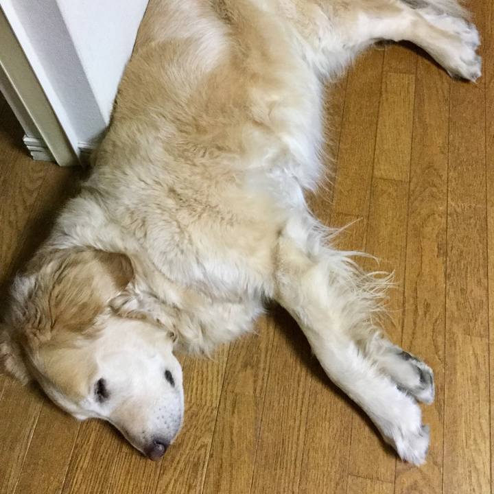 7f37d10c 672a 421f 8942 8e211feabf5c 1556016926127