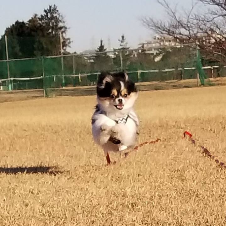 7f3814e7 e168 40a1 9d44 20e606bd9c43 1548580161406