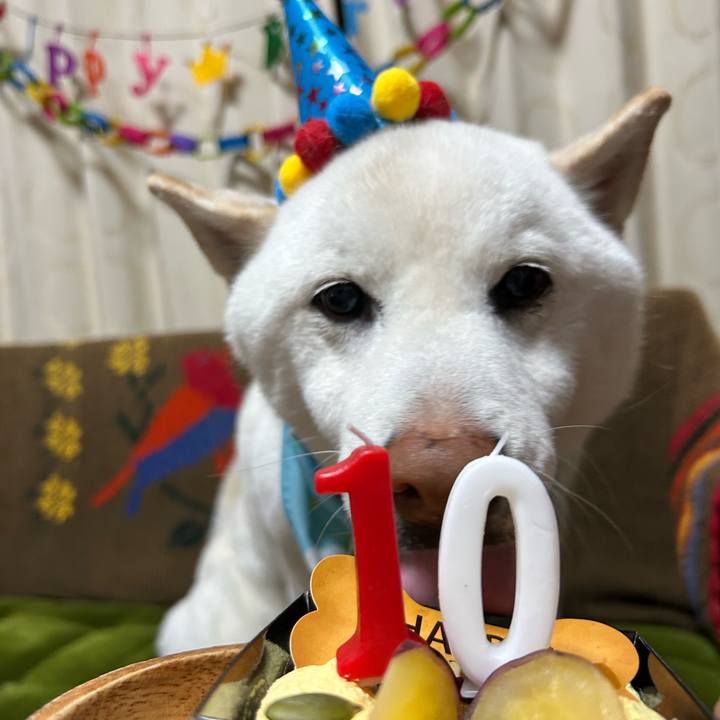 7f386043 f767 48d4 af67 5d905e4f97a3 1680006581235