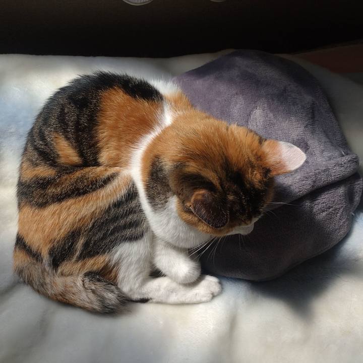 7f3865dc 2d2c 4d27 91b6 af2e4ea8dcbe 1757815016227