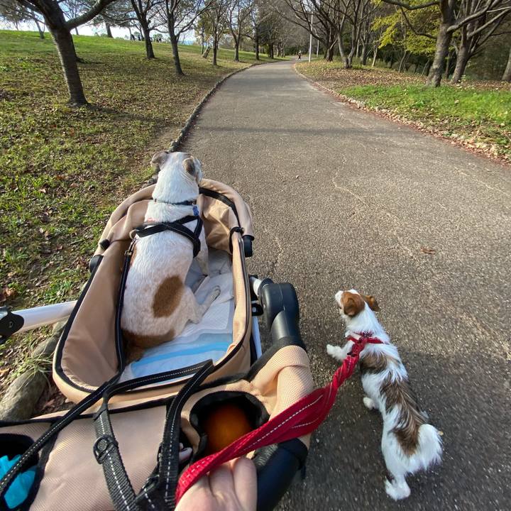 7f3883ad d9ab 4d28 aee6 017d7176aafe 1636276140490