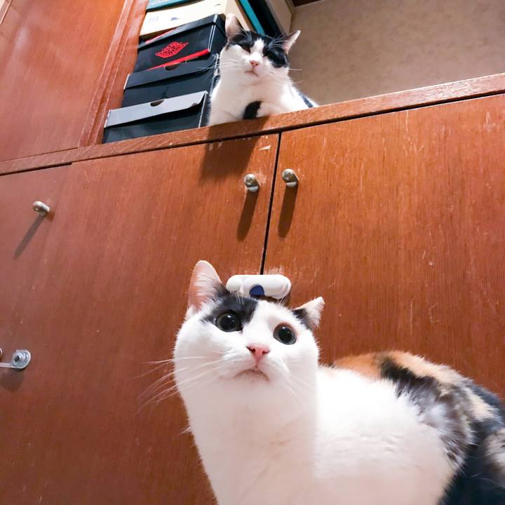 7f388b05 1d75 4051 8e26 97771e184ac5 1520779580112