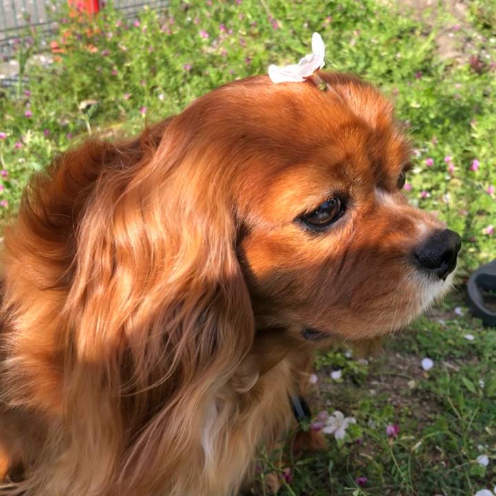 7f38dfa1 ae40 4f58 9d31 2fb2f4f141d2 1616832663273