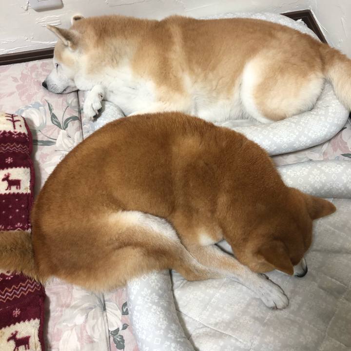 7f38ef18 66ea 466d 95e1 14f0c8d77047 1571265726755