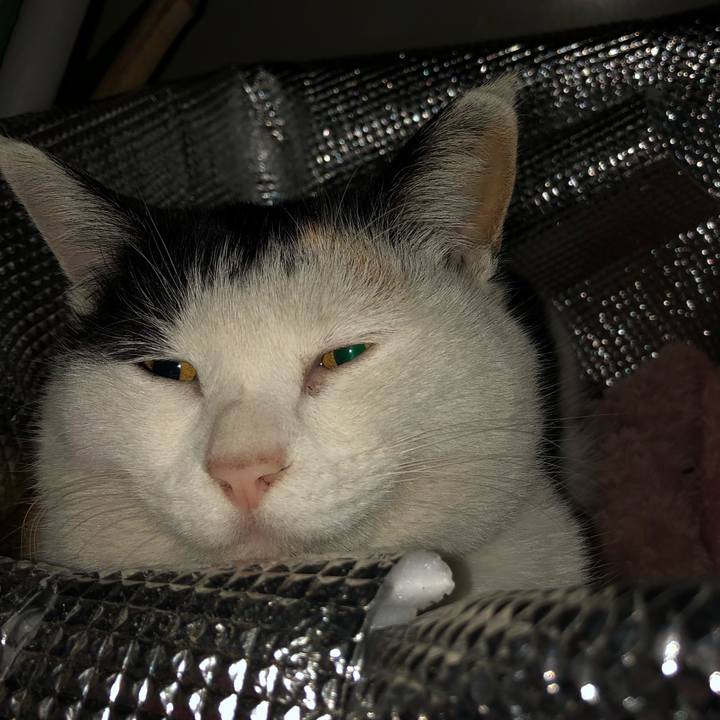 7f391886 0780 4075 9883 fac0f00c0e00 1611317207165