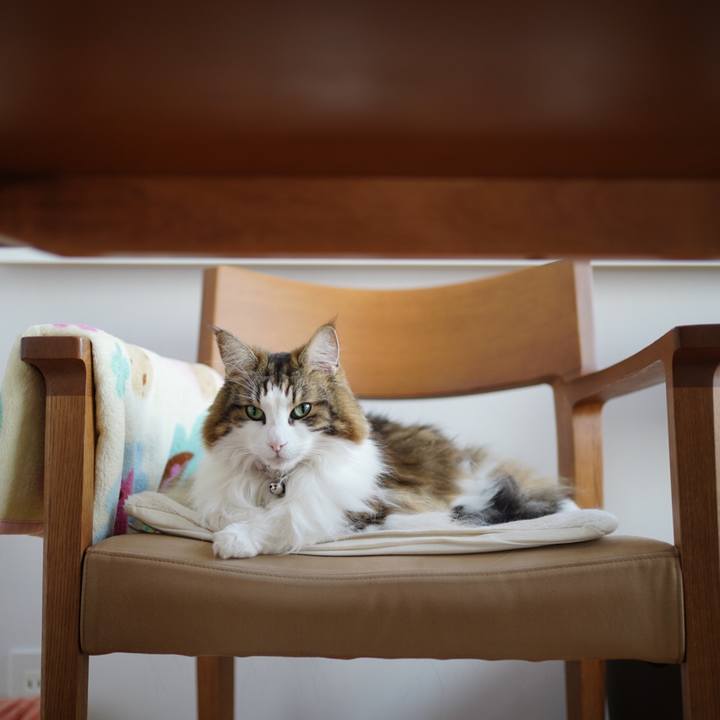 7f3925f9 acd0 4267 ba1c 4bf6d50f9211 1668345072060