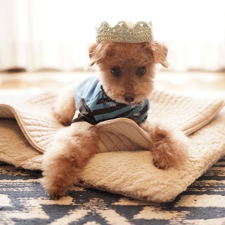 7f392c59 ce52 4fcf a31e 3074ae95757b 1697255525376