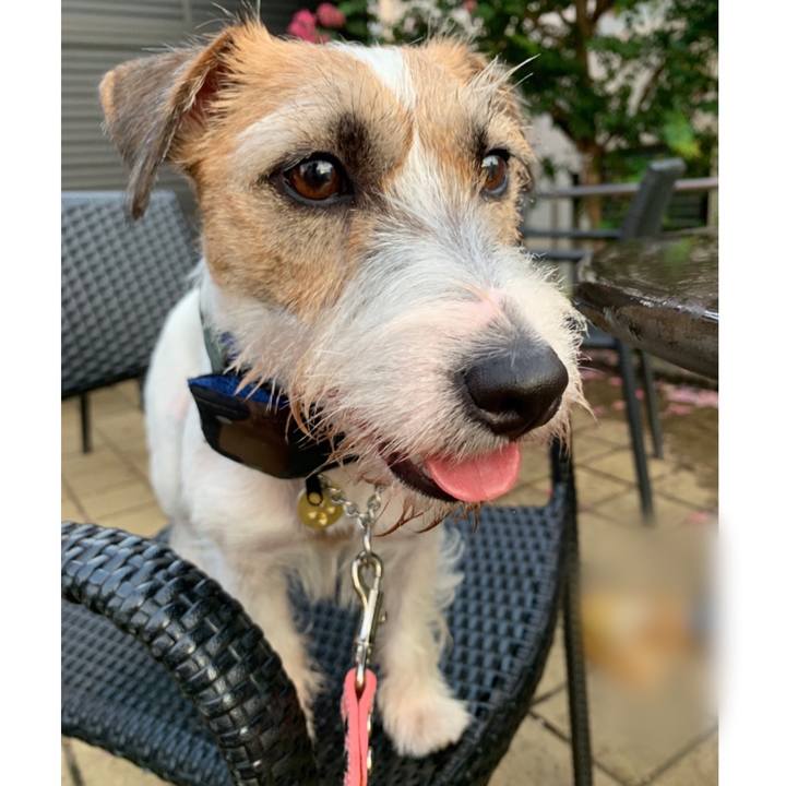 7f393f93 a8a8 4a46 a32e 658f43f50321 1598183688522