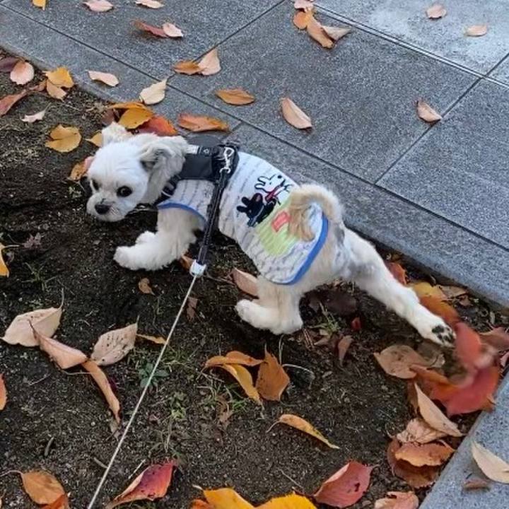 7f39486c d0d2 4d6a 9592 a01b55b6af13 1573911544261