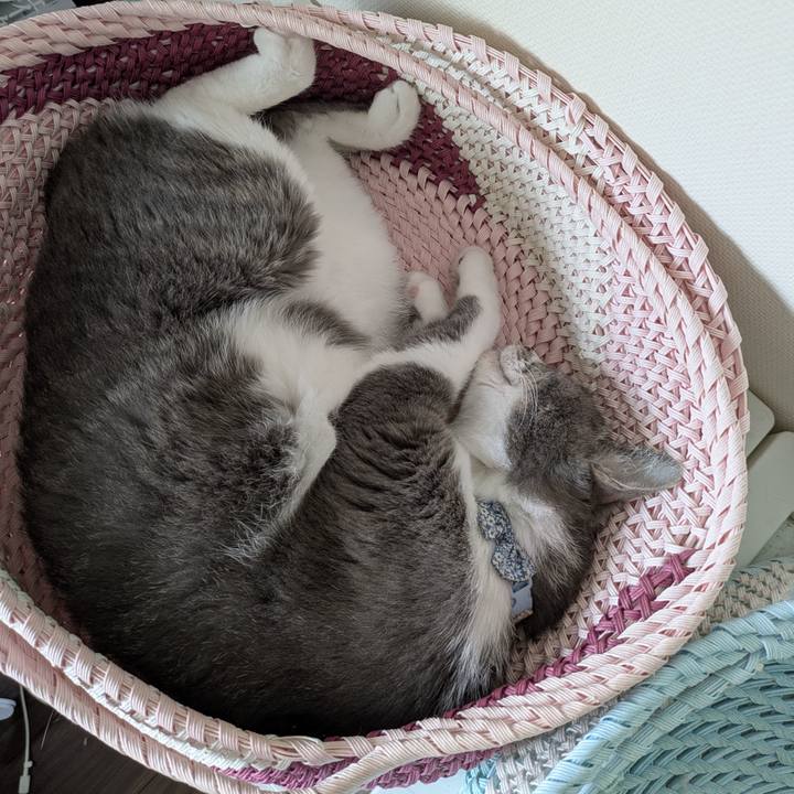 7f395b84 1d28 4b9d 9f53 e0484ecd24a0 1757993452735