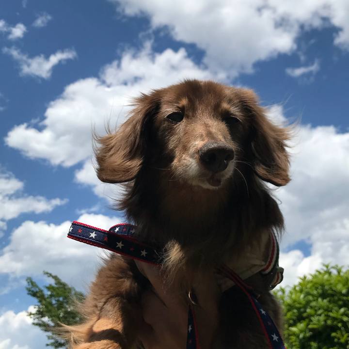 7f396bb0 f2fd 4a4c baab a6e6c900ab0a 1525405966038