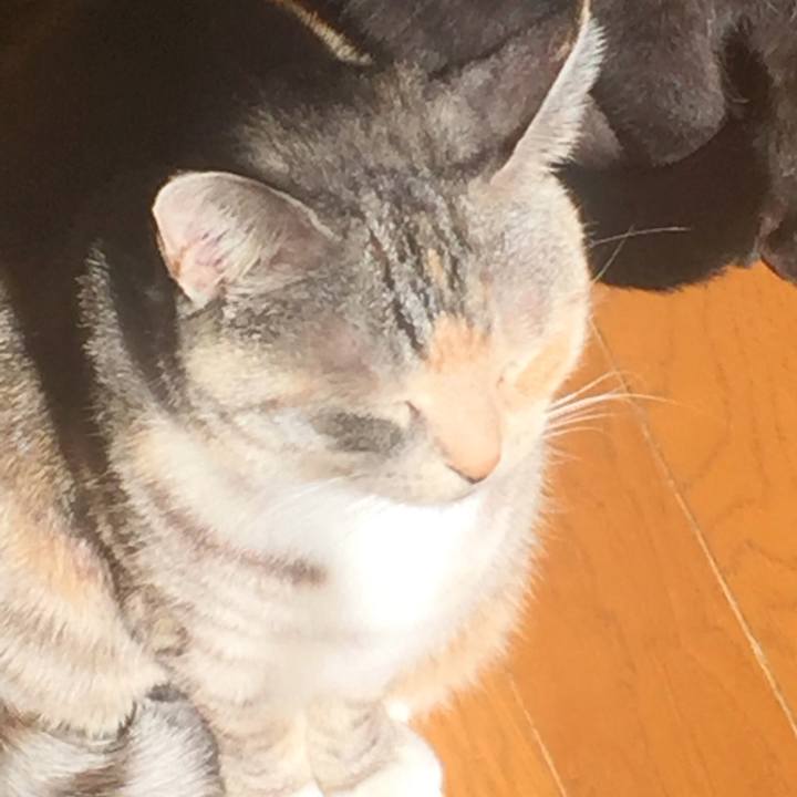 7f39a1f4 a5cd 4ef8 a8f4 8e758136f8a2 1548123996744